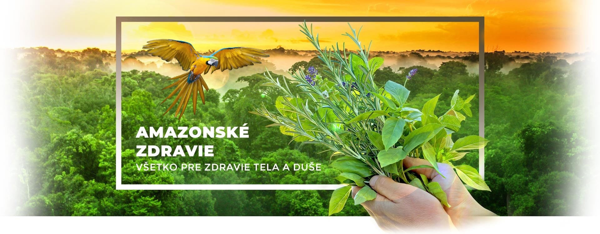 Liečenie bylinami